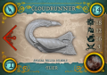 Cloudrunner Card