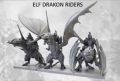Elf Drakon Riders